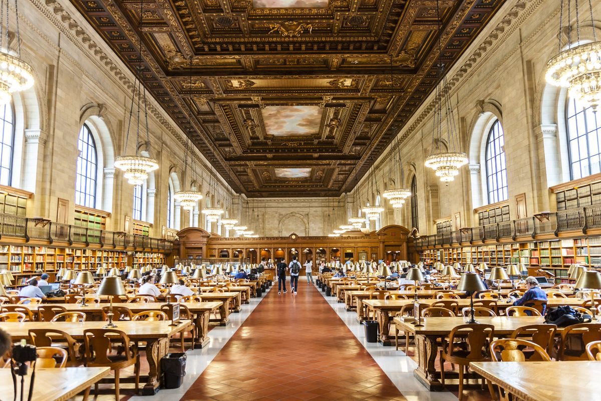 New York Public Library Selects 'The Bitcoin Standard' for Drag Queen Story Hour, Bitcoiners Conflicted