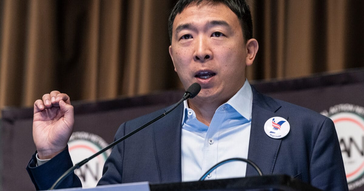 Andrew Yang Champions Ordinals As UBI For Miners