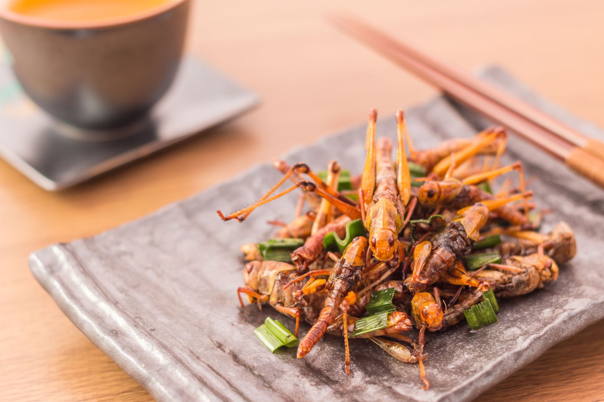 Bill Gates Launches Fast Food Chain Where Food Is Made Out Of Bugs