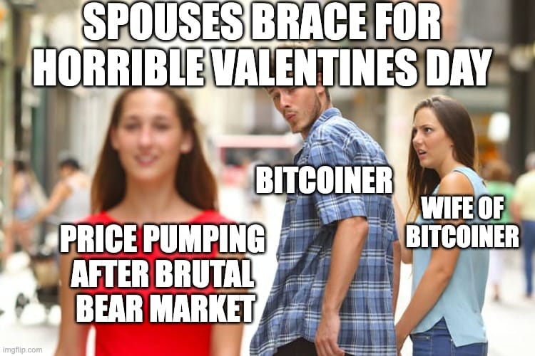 Spouses Of Bitcoiners Brace For Horrible Valentines Day As BTC Price Pumps